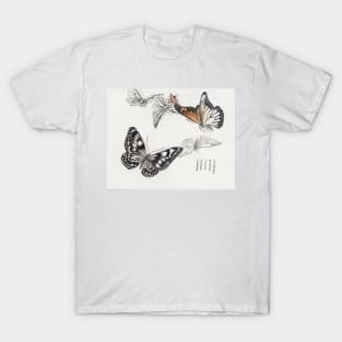 Beautiful Butterfly T-Shirt